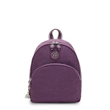 Kipling Paola Small Backpacks Endless Plum | AU 1598SG